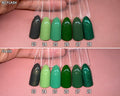 Solid Colour ~ Greens | 24pcs