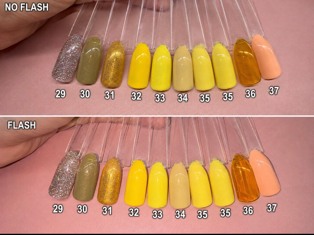 Solid Colour ~ Yellow/Orange | 24pcs