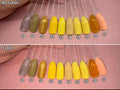 Solid Colour ~ Yellow/Orange | 24pcs
