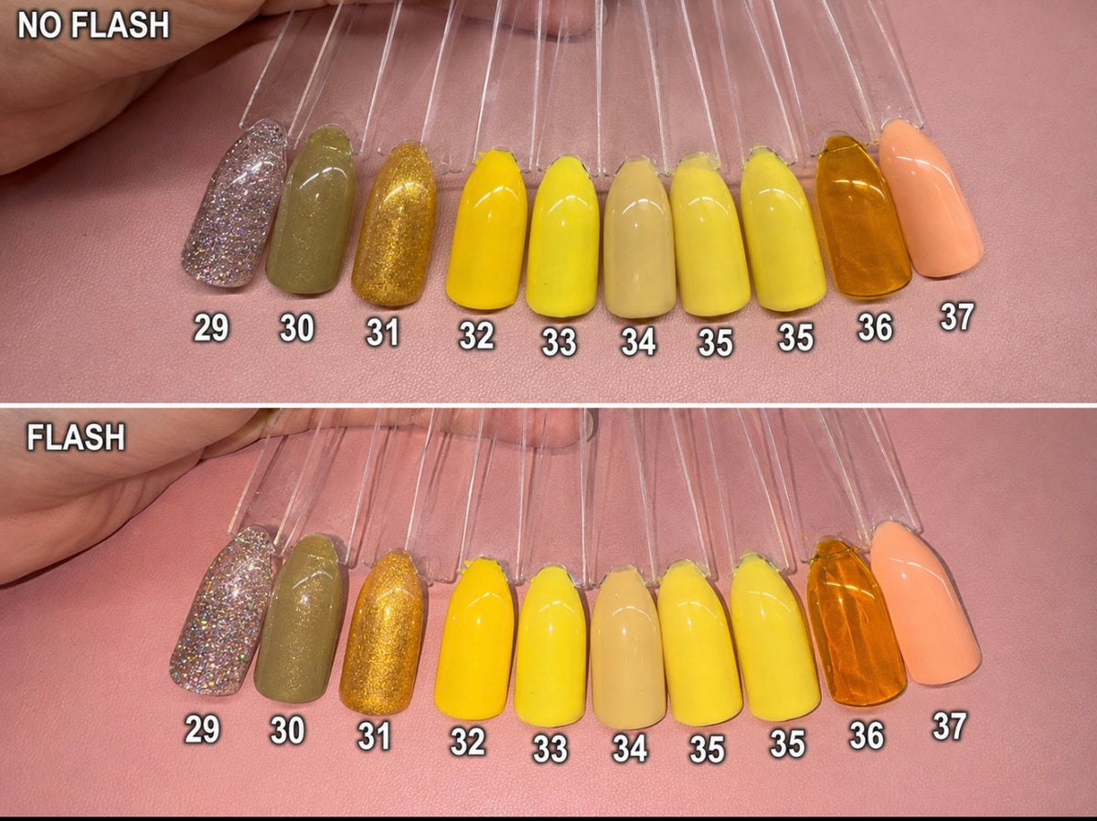 Solid Colour ~ Yellow/Orange | 24pcs