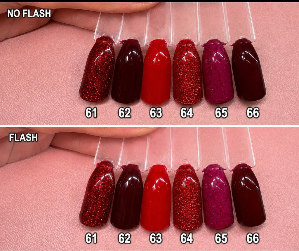 Soild Colour ~ Reds | 24pc